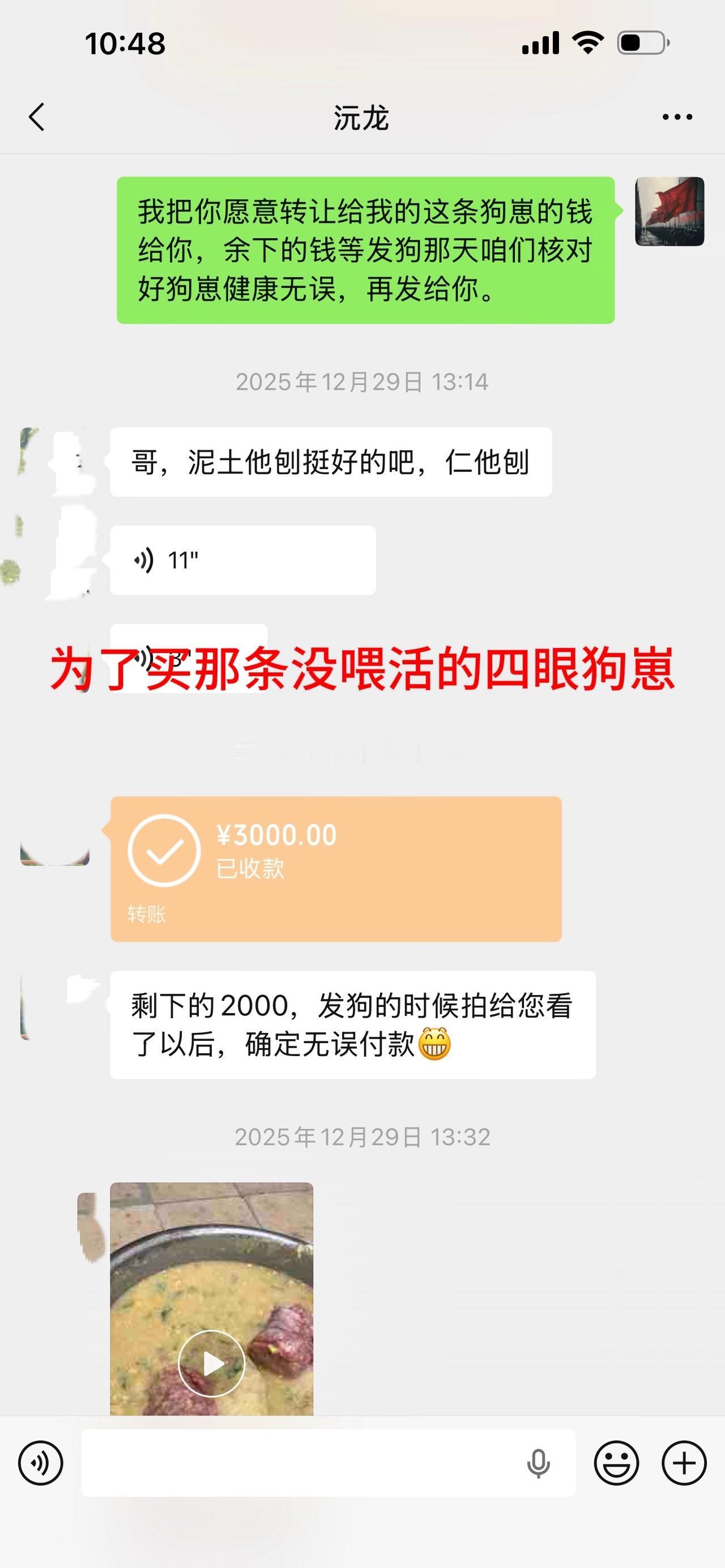 近几年，我弄了好几条狗养，到最后都是一场空。现在却有养南方土狗的朋友让我以后买贵