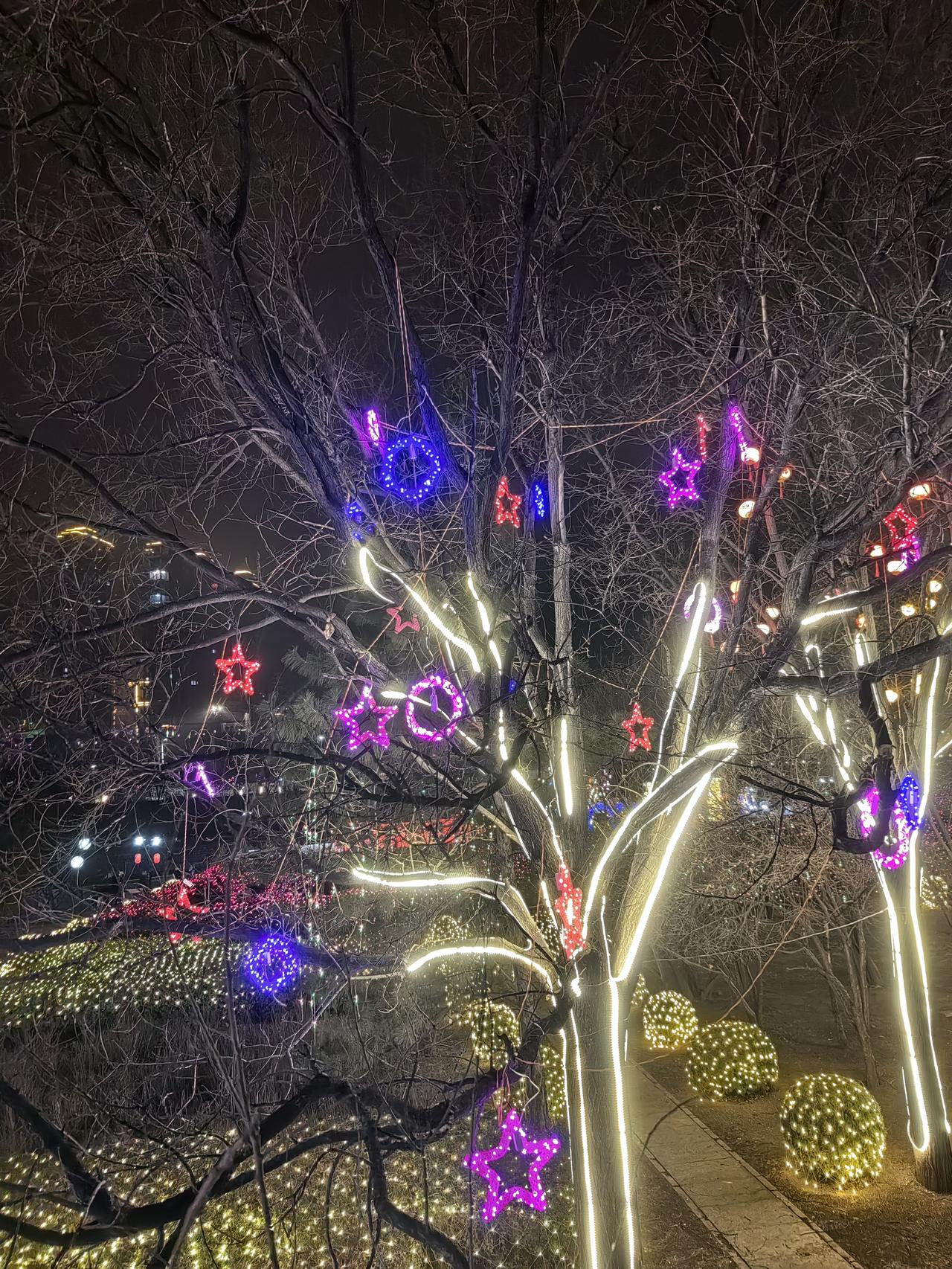 集卡领红包桃河里面还有卖拉面的，也太接地气了，成了实打实的夜经济圈了。