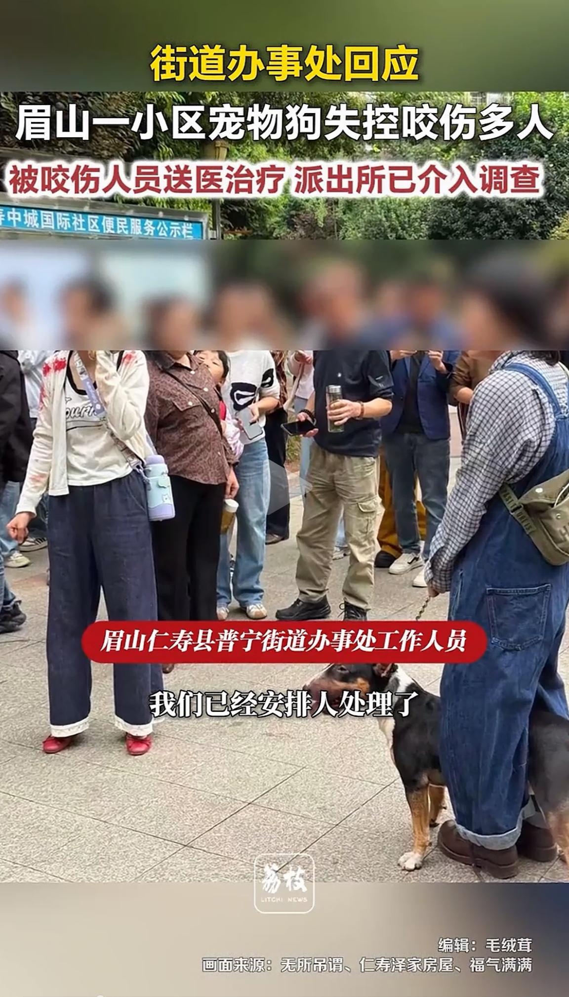 养犬乱象已经到了必须不严管的地步。

一人在小区遛烈性犬，咬伤几人，其中一女童面