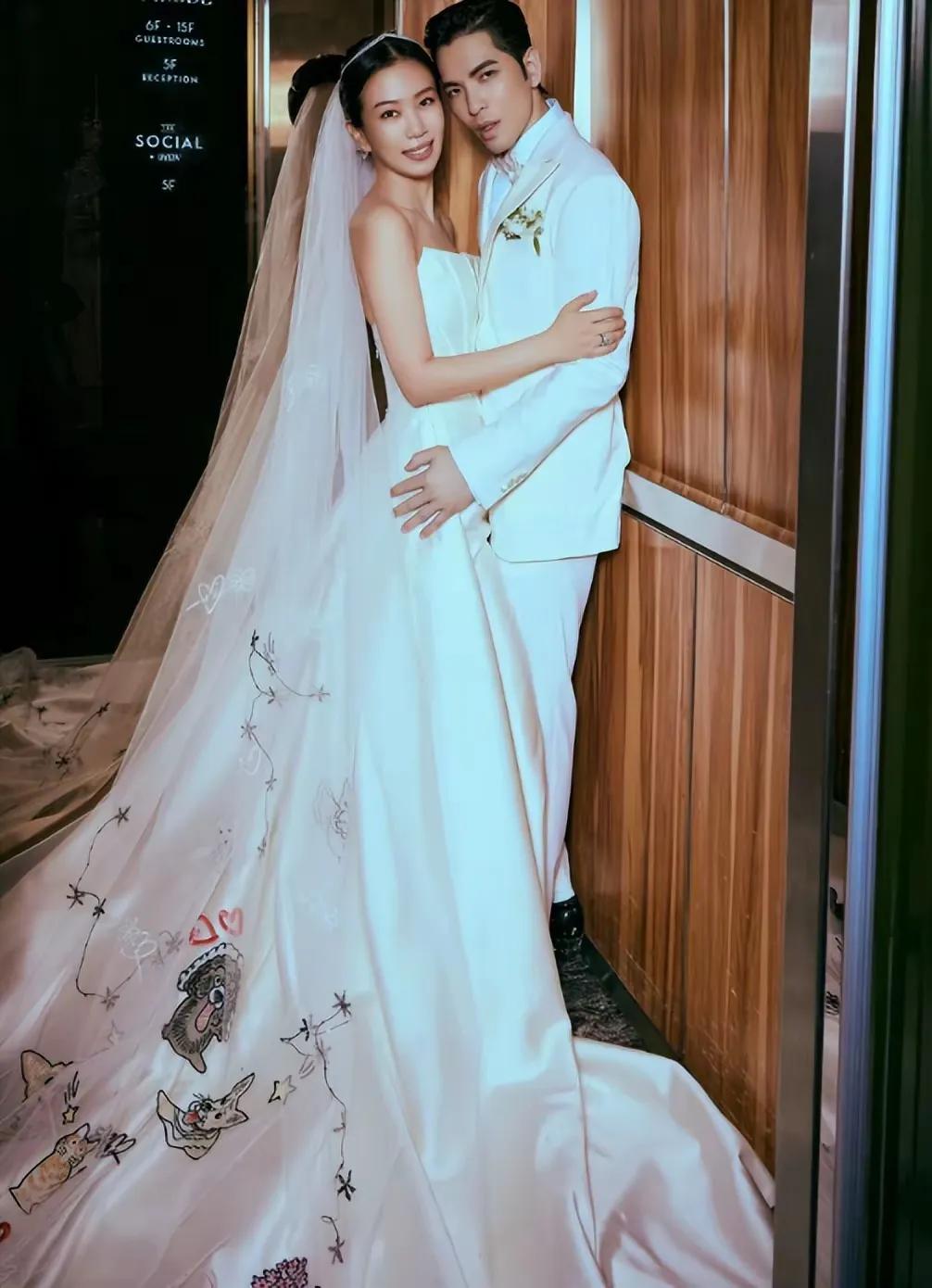 萧敬腾不过是娶了个自己最爱的女人！而这个女人又恰好年纪大了点，结果，评论区全是萧