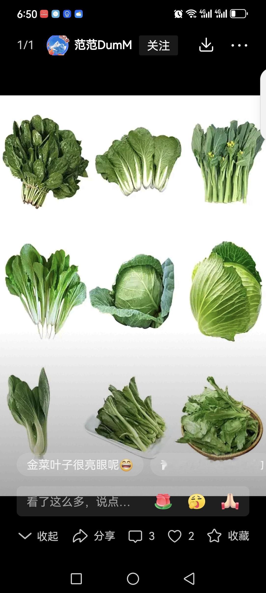 看来头条也钟情于柴米油盐、一日三餐！
不然真搞不懂，别人一段二十来字写青菜的内容