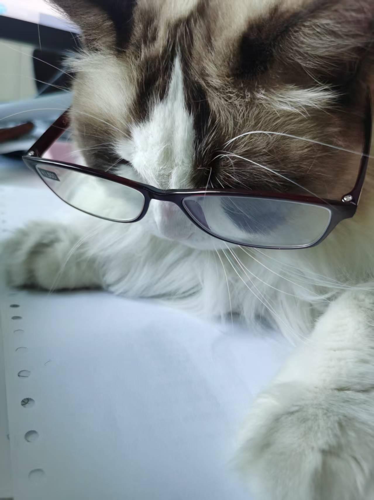 客自河东来，问我咋谋生？
老卜笑不语，南墙长青藤。
秋深百花谢，冬来雪花轻。
邀