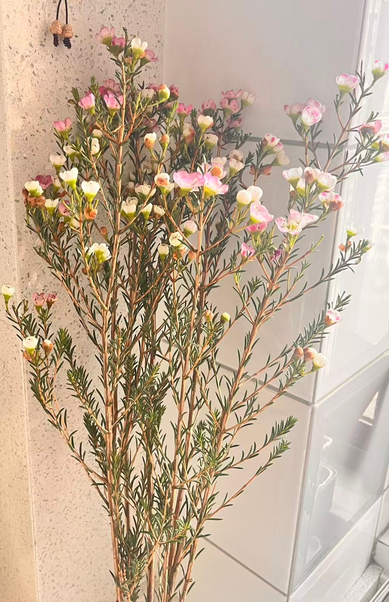 我家的新年装扮你好2026 愿2026一路繁花似锦