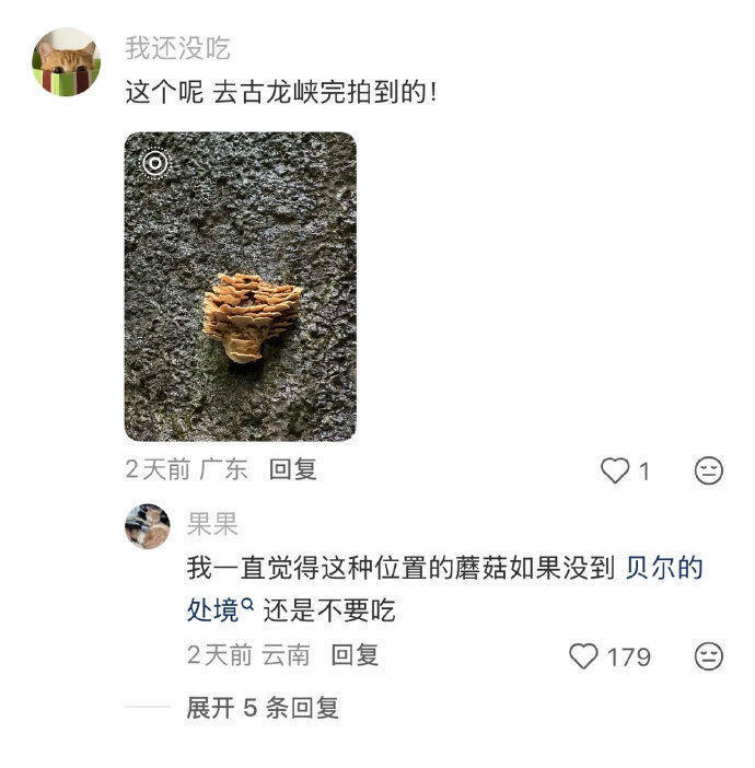 刷到一个鉴别毒蘑菇的帖子，笑得不行 