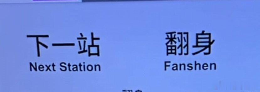 抓拍瞬间，定格美好时光📸 
