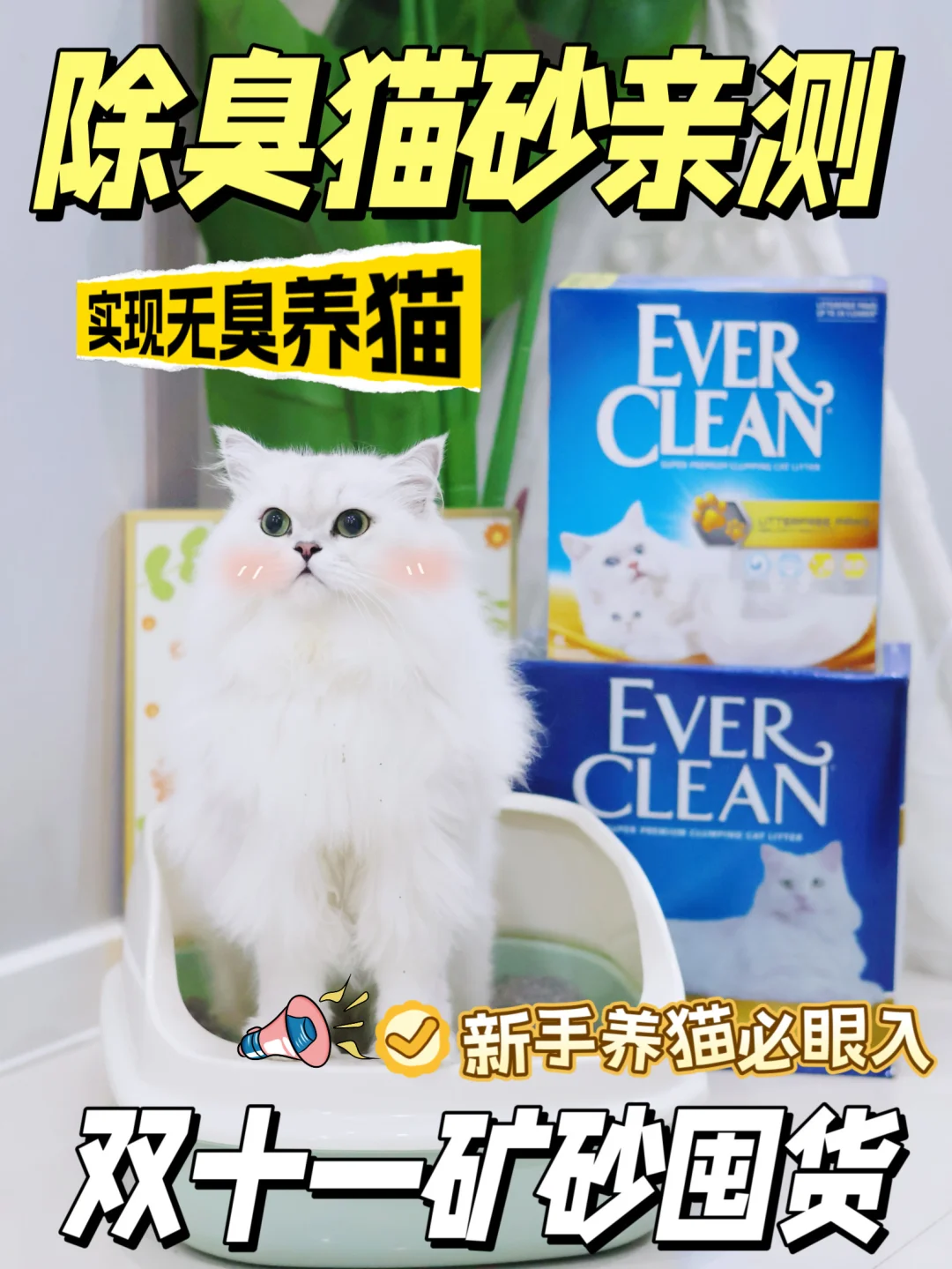 救命！换砂后孩子窝猫砂盆不出来怎么办