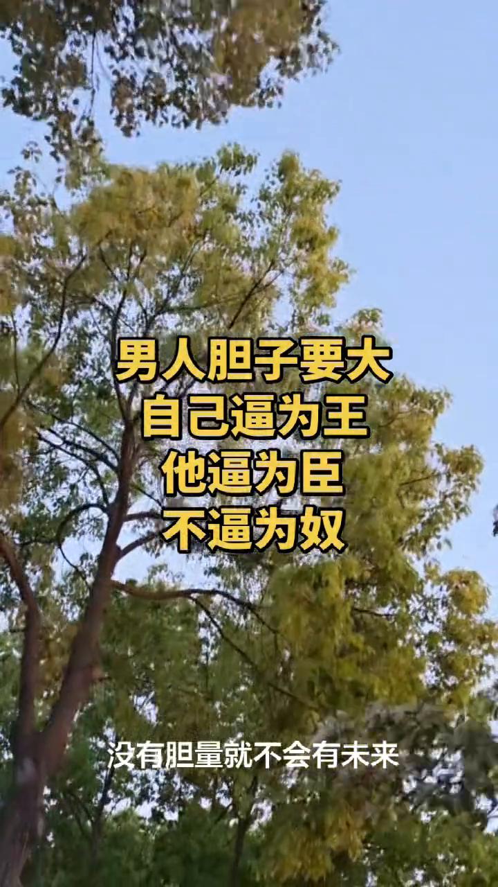 男人胆子要大，自己逼为王，他逼为臣，不逼为奴。
你要记住，男人一定要有胆量，没有