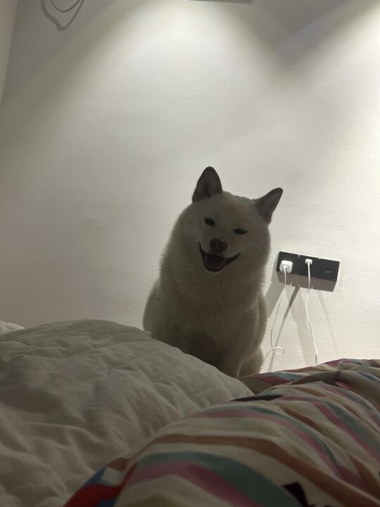 晚上睡到一半睁开眼….
