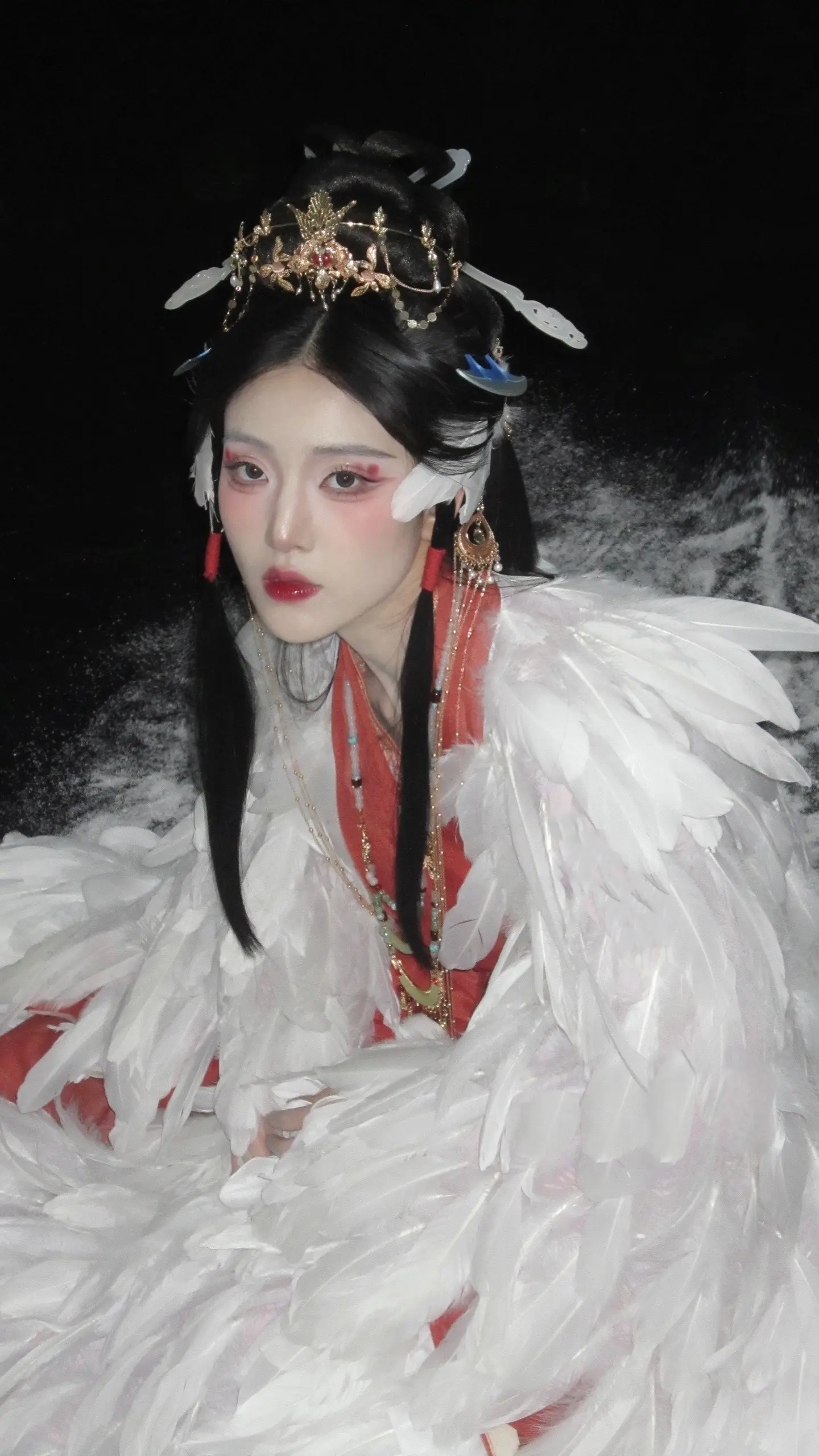 白羽成雪，可叹惊鸿