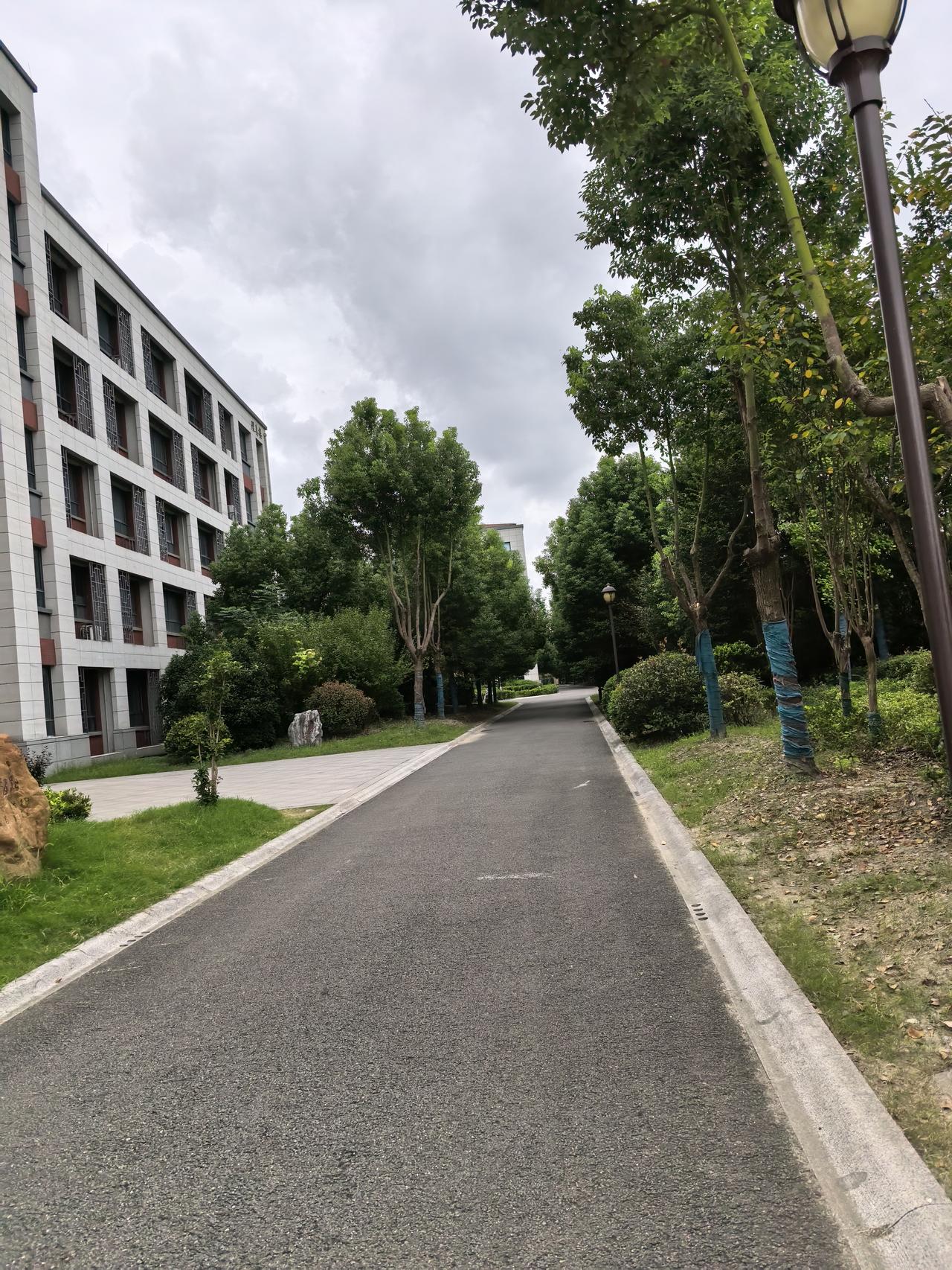我发了一张图，请仔细看一看，你能猜到这是在哪里拍的吗？