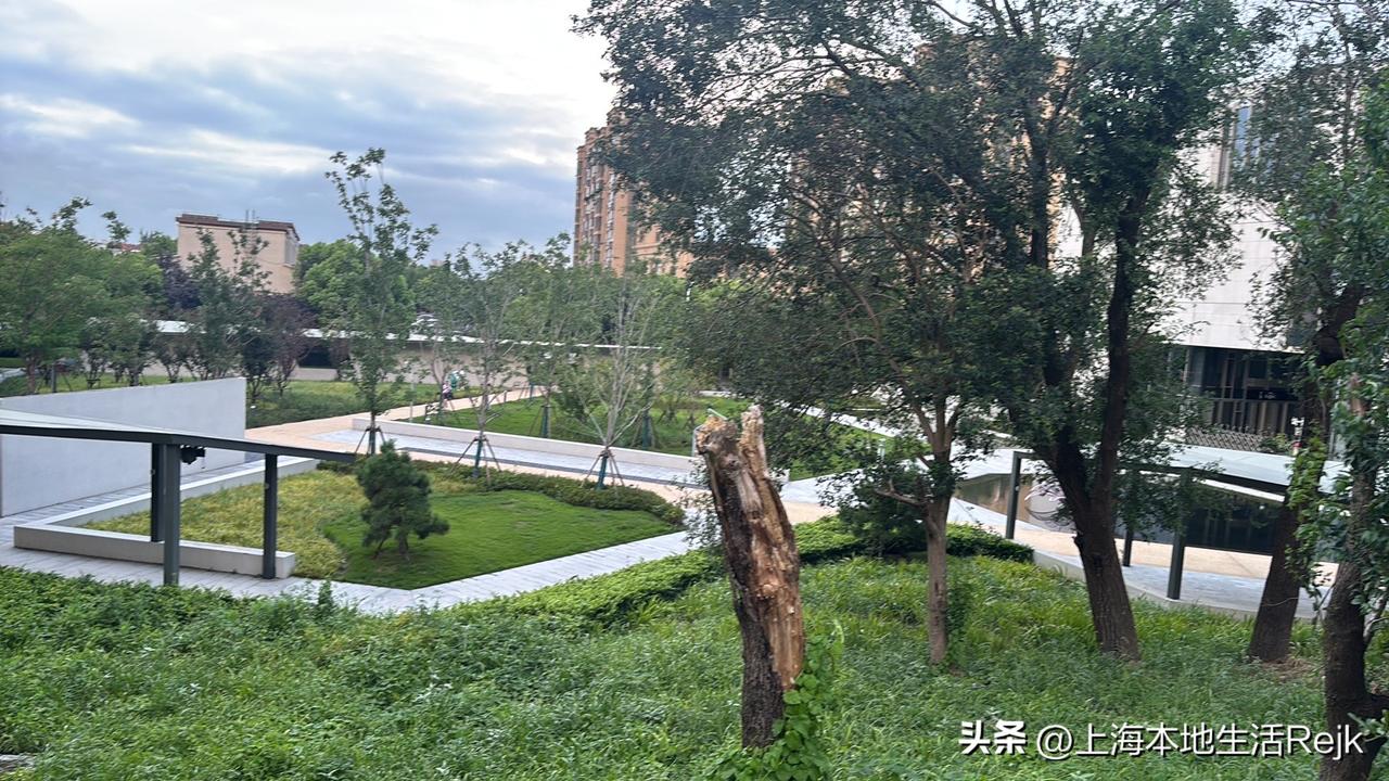 老外涌入中国的人数暴涨，今年上半年入境外国游客达2291万人次，免签入境就有17