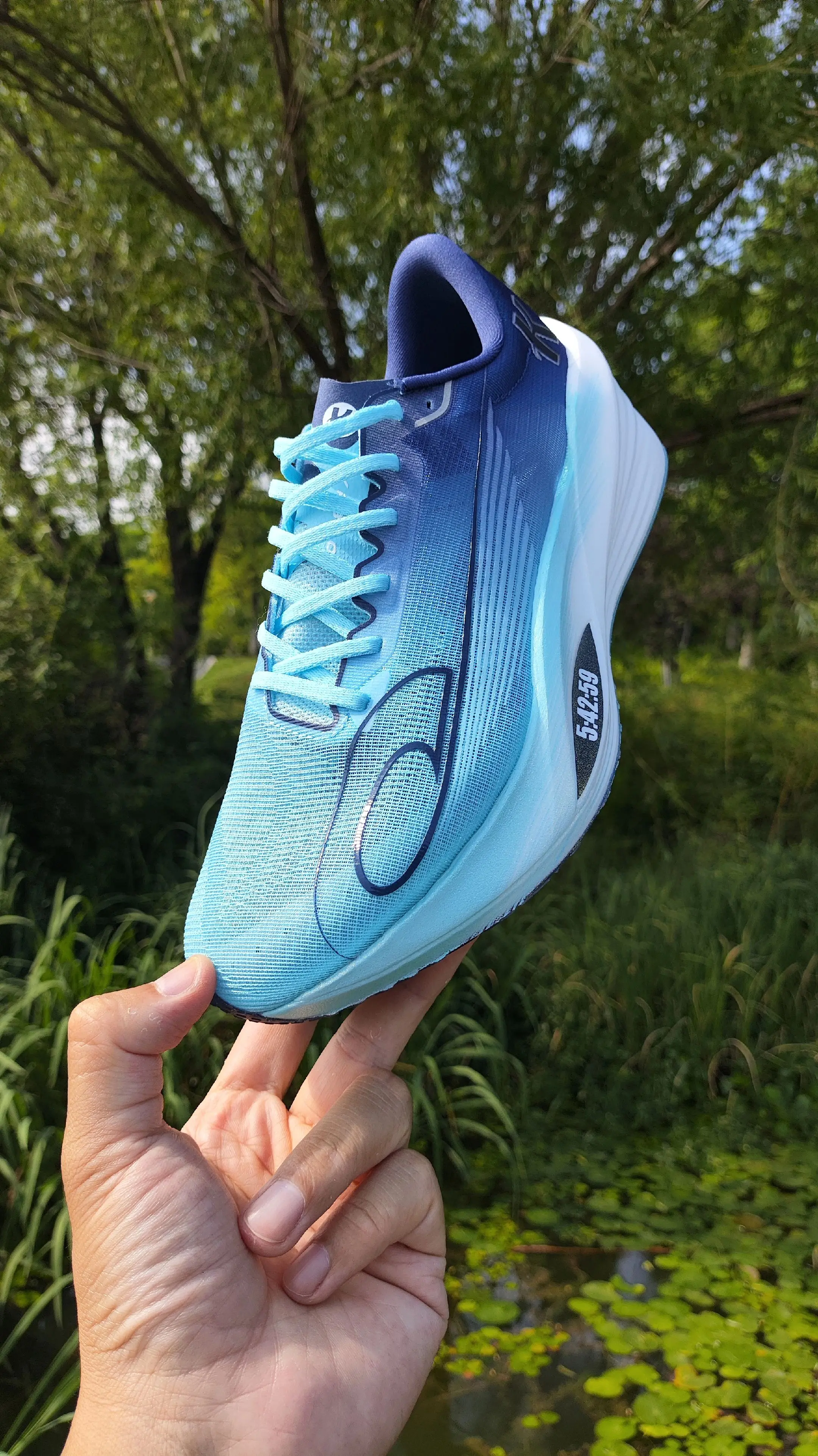 飞影PB5【宽政大】配色开箱。