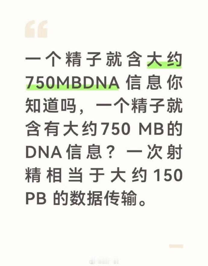 哇哦，这些电脑相关的术语听起来格外下流啊
