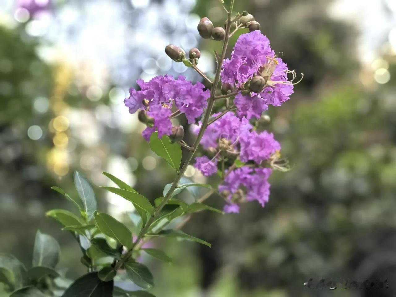 我家隔壁的阿姨今天哭着敲开了我家的门，我我把阿姨让进家门，听完阿姨的诉说差点没把