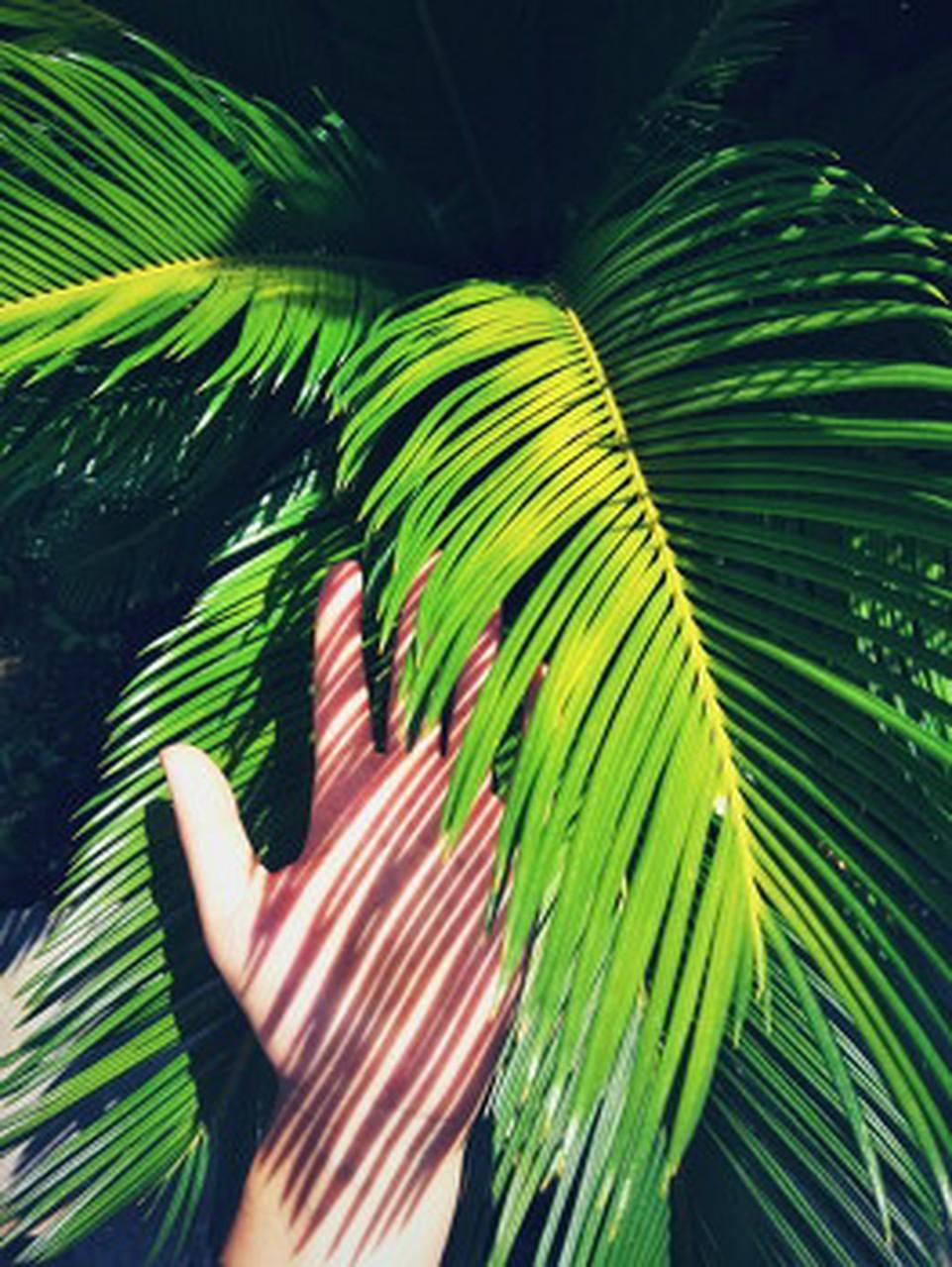 我们握着
父母的手掌
走过了他们
曾踏过的风浪
所以当他们
双手渐糙
鬓边的霜