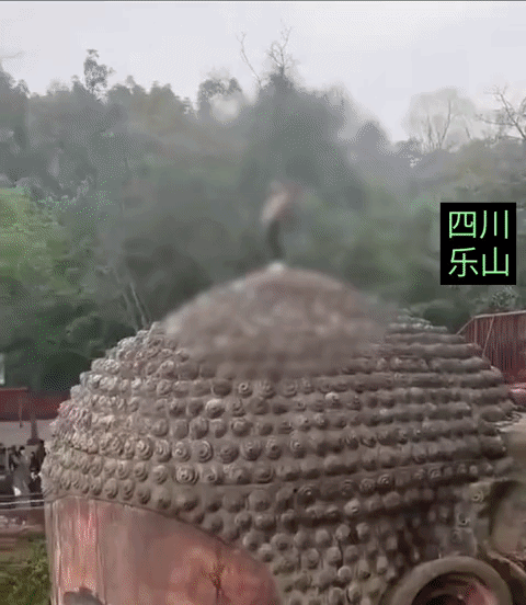 近日，一游客跑到乐山大佛头顶撒尿，惹众怒，游客大喊拉他下来刑拘他，事后景区回应：