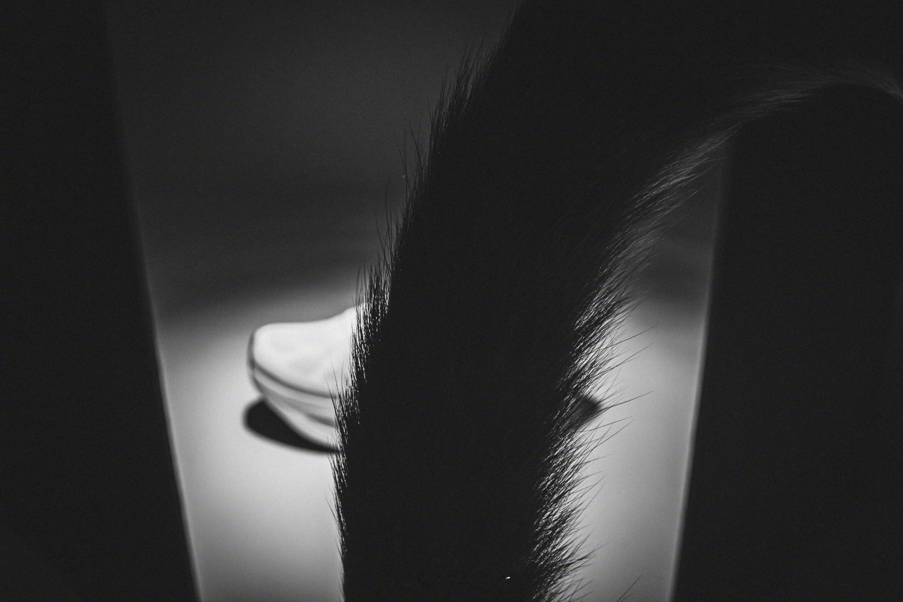 自从工作室有猫之后🐈就经常能得到这样的画面📷猫咪摄影