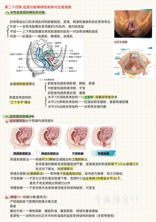 妇产科学（18）-盆底功能障碍