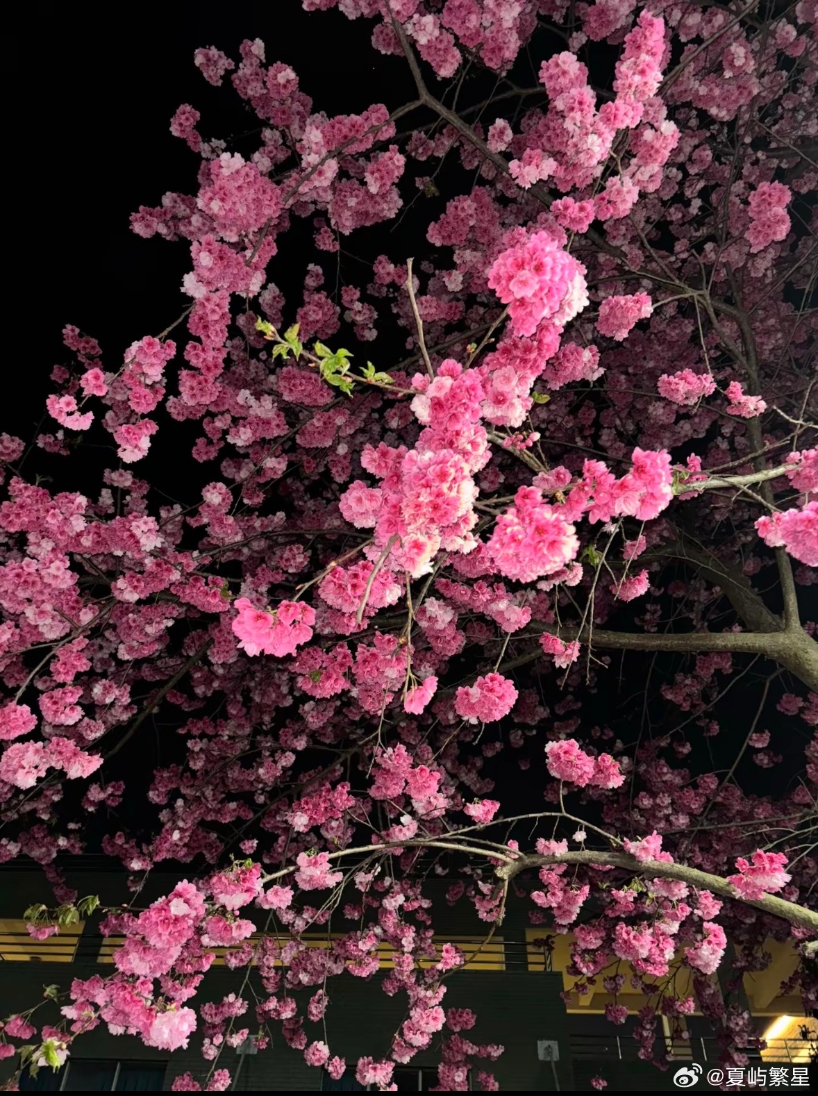 读书是一天最享受的时光我的私人宝藏书单书评 世界变美了昨天傍晚，我站在厨房里洗一