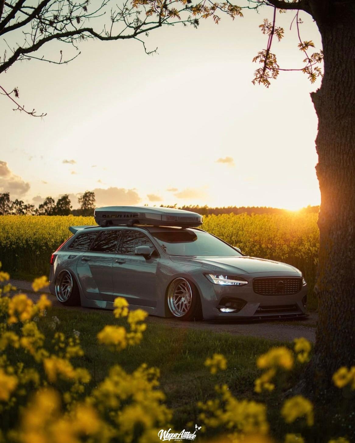 WagonAttitude® ❷⓿❷➏ ⁵′²³ ☀️没有一朵花·从一开始就是花