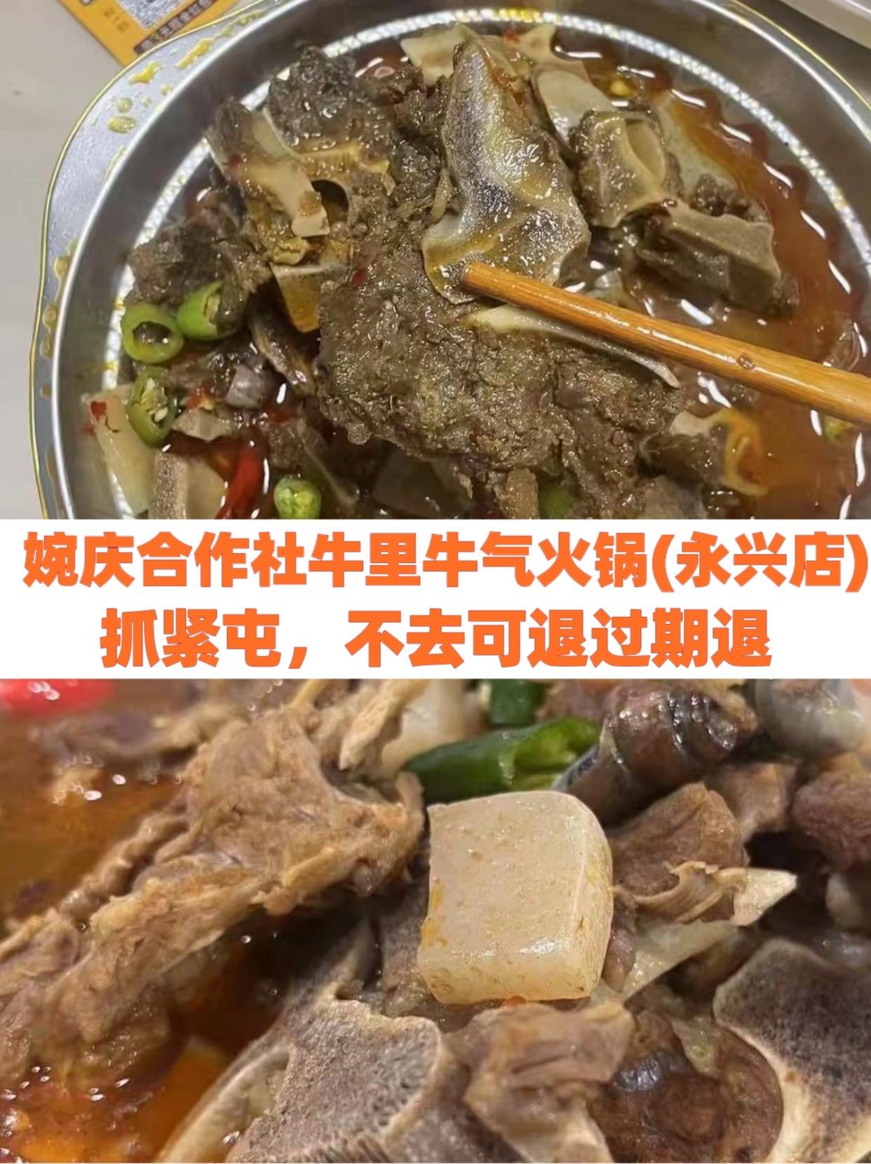 婉庆合作社牛里牛气火锅(永兴店)吴得顶牛杂煲 牛杂没煮熟吃了会怎么样 禧福禄打边