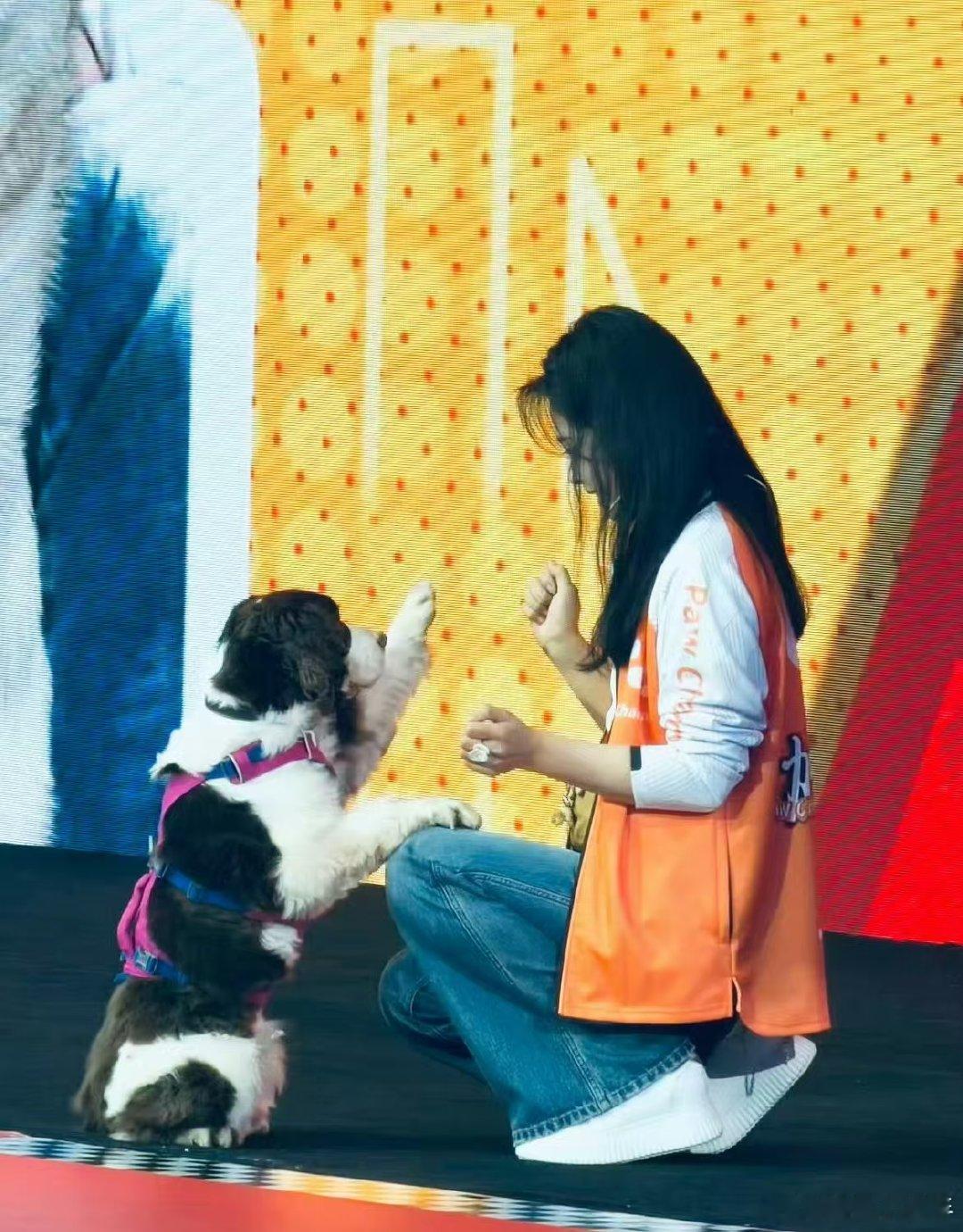 刘涛王牌小狗查理刘涛带狗上综艺了救命！！！褪去光环抱着自家小宝贝贴贴，温柔知性刘