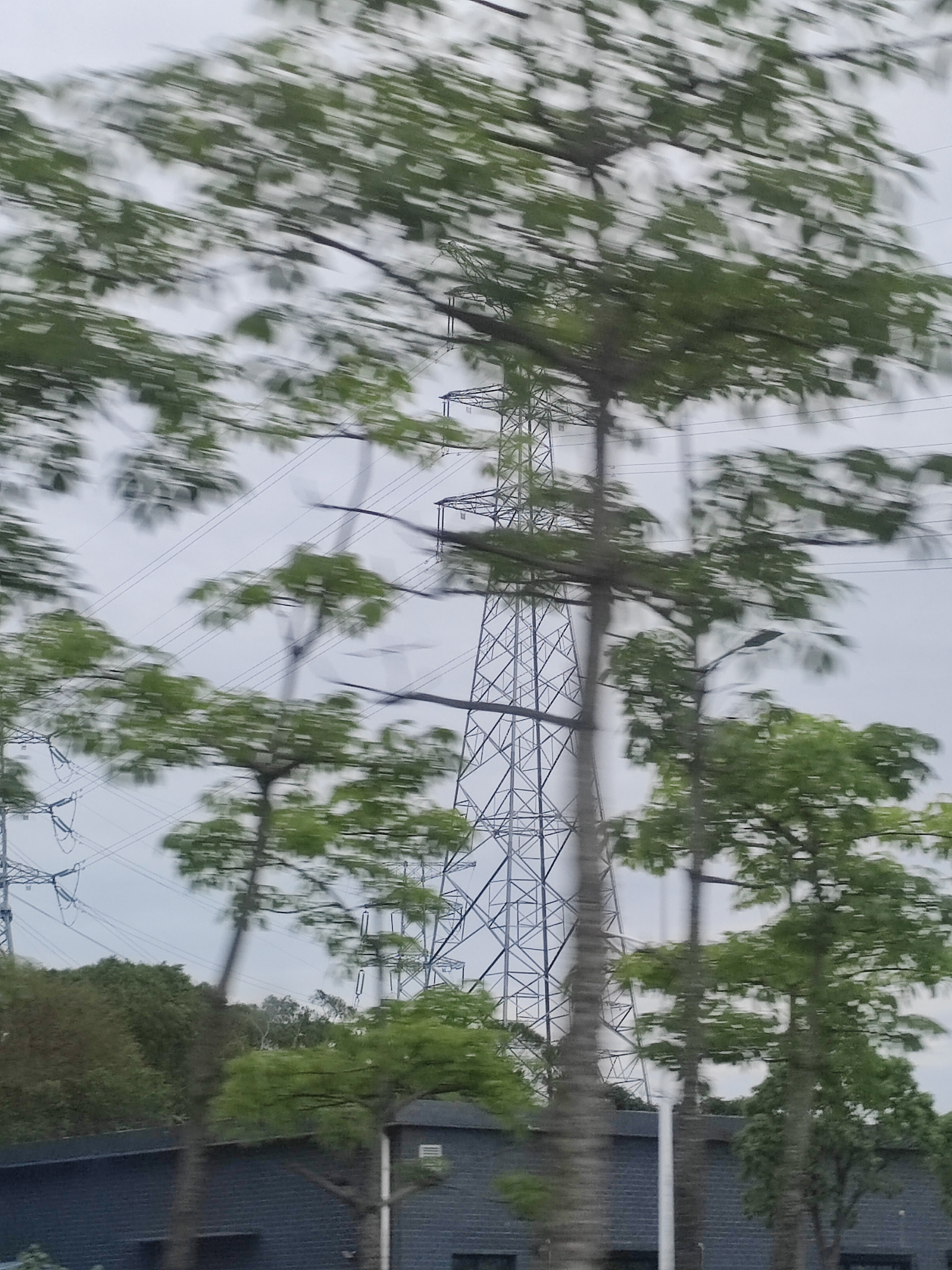 你应该去爱这山、这水、这世间万物，以及鲜花与你自己。而不是拘泥于小小的情爱之间不