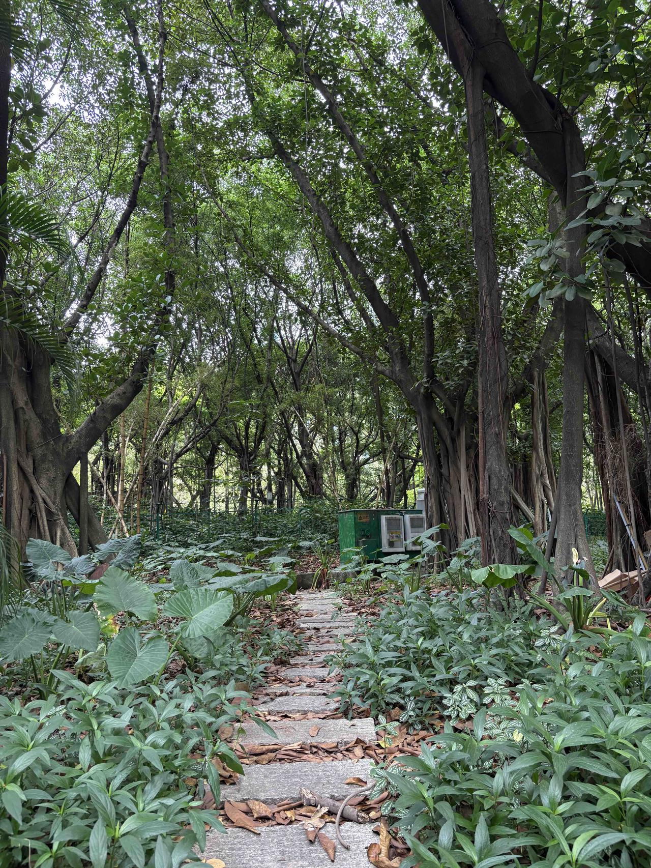 因为没有居安思危！
因为是普通人，所以没有看到长远的能力
这个春节亲戚在一起聊天