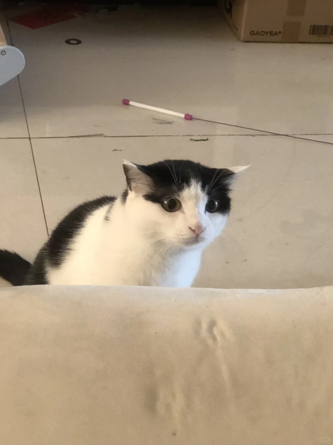 好呆啊 受不了了