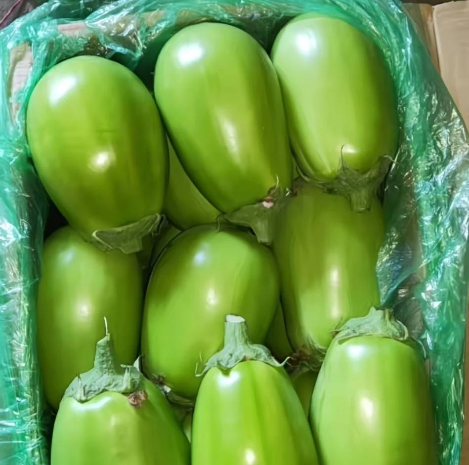 这个茄子真的只有辽宁有吗？我从小就吃这种茄子，刚长出来的小茄子甜甜的，生吃特别好