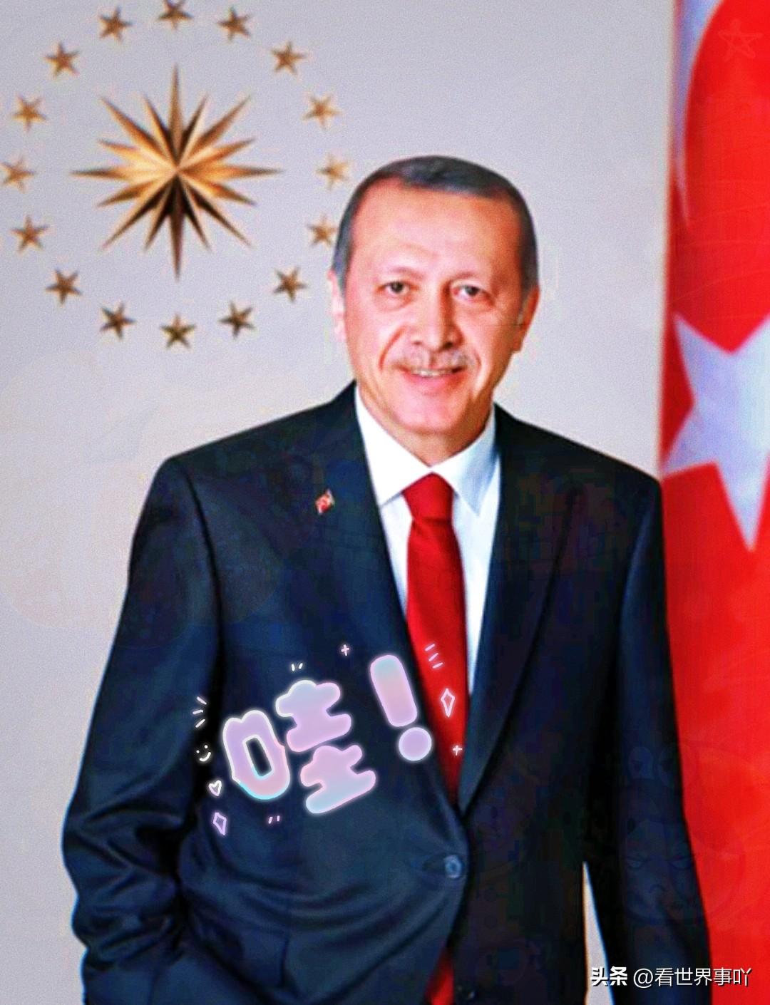 中国和土耳其谈话了
3月25日，土耳其终于等不了了，一通电话打到了中国，土耳其外