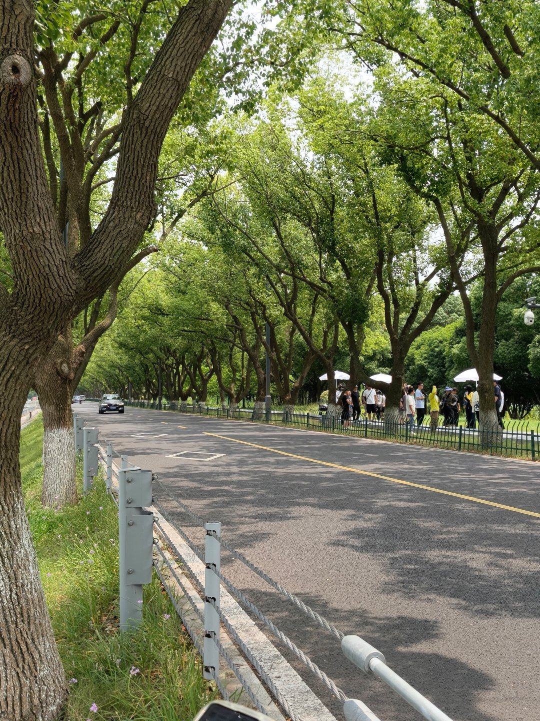 欧坤感谢司机 
