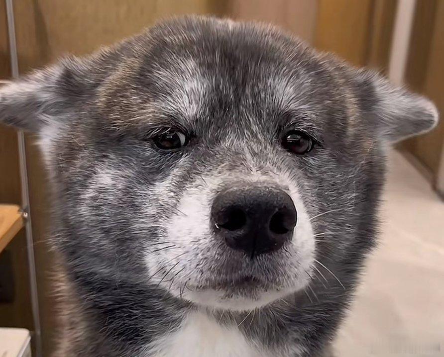 每一轮社会议题争论，都是认知的“照妖镜”。认知与文化水平和收入阶层不一定正相关。