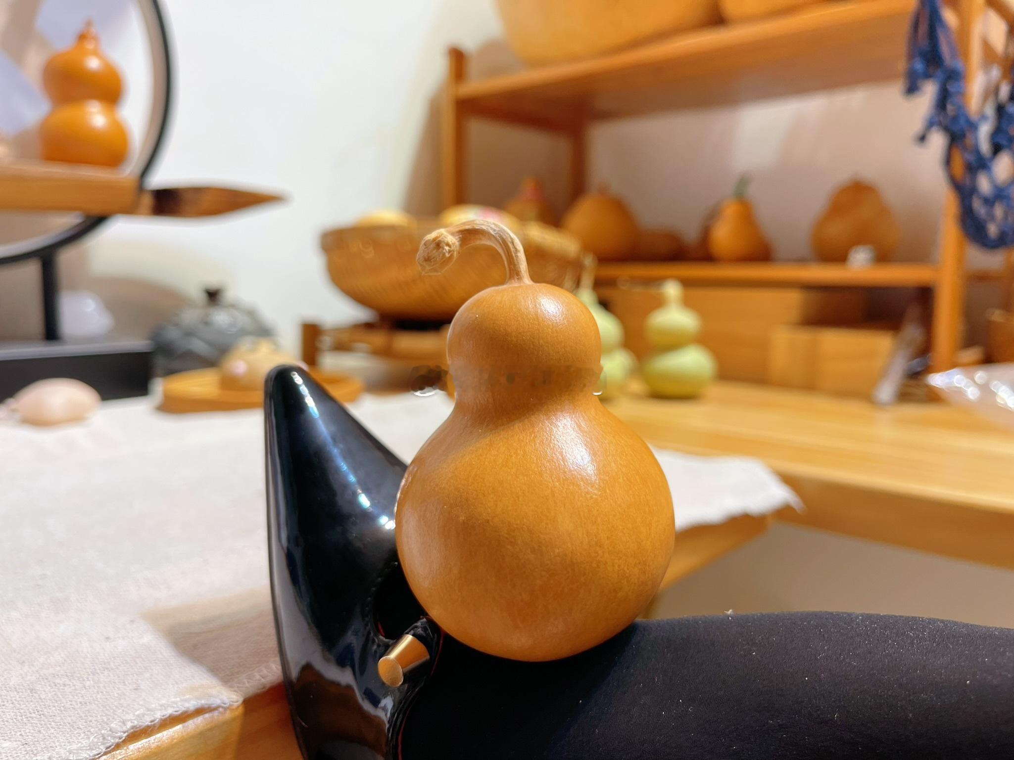 小葫芦 