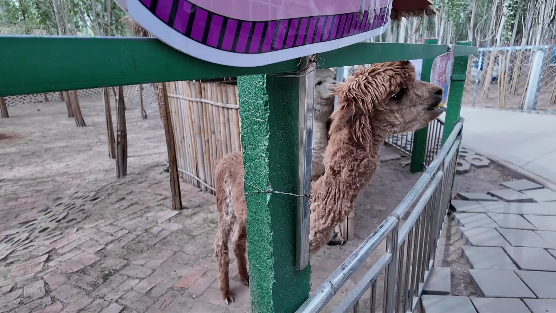 阿克苏五一假期游玩好去处