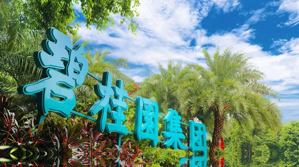 看如今许家印现状，还是碧桂园老板杨国强最聪明！同样是万亿规模房企爆雷，结局天差地