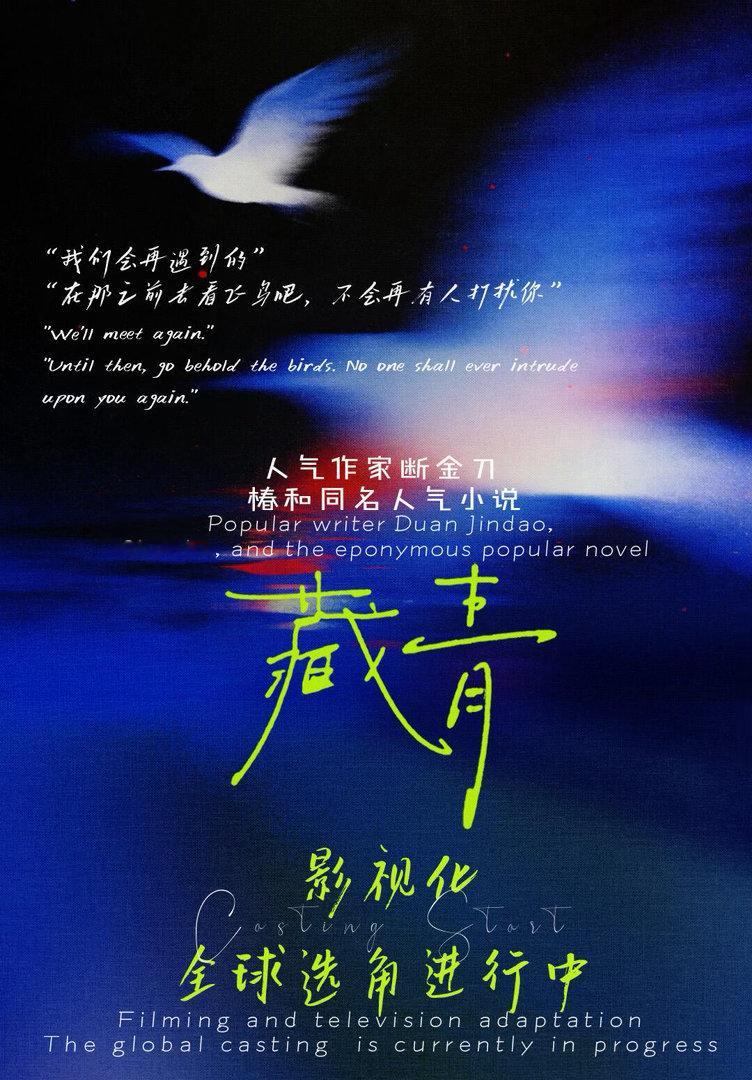 藏青开始选角了 呃呃呃香港金像奖班底 恨海情天 重生 强制囚禁 双⭐️生子 ​​