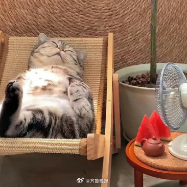 #早安# 在喜欢的状态里慢慢成长，做好自己。 ​​​