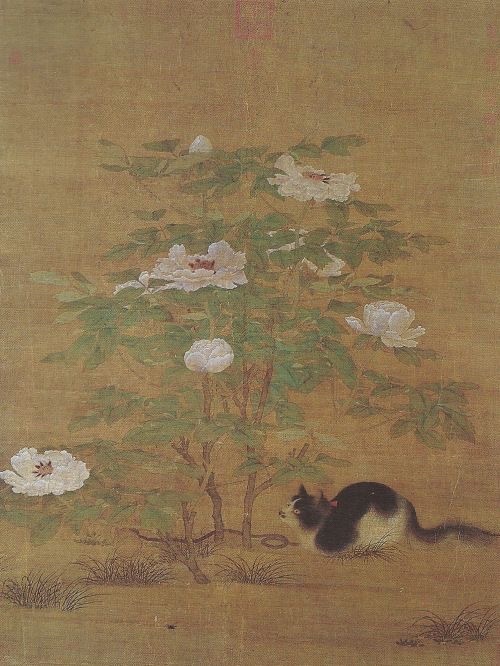 历史里的猫猫 ​​​