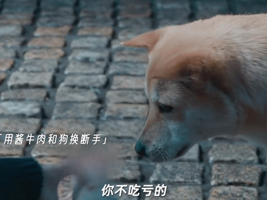 秦俊杰亡妻的赛博通灵师谁能想到秦俊杰演的法医是这么个设定，自闭症怪咖人设直接拉满