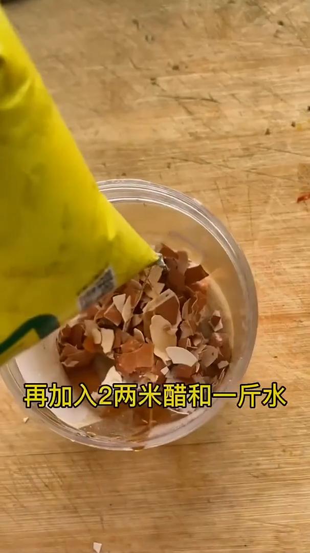 自制高钙肥。
家里吃剩下的鸡蛋壳别扔掉，今天给大家分享一个自制高钙水溶肥的小妙招