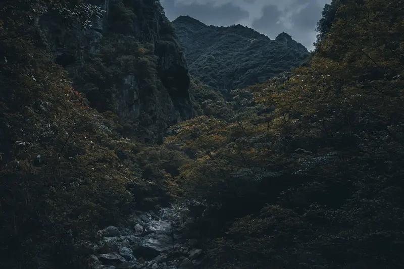 无人深山里失联13天，11岁男孩被找到：真正的奇迹，藏在普通人的坚持里

有些消