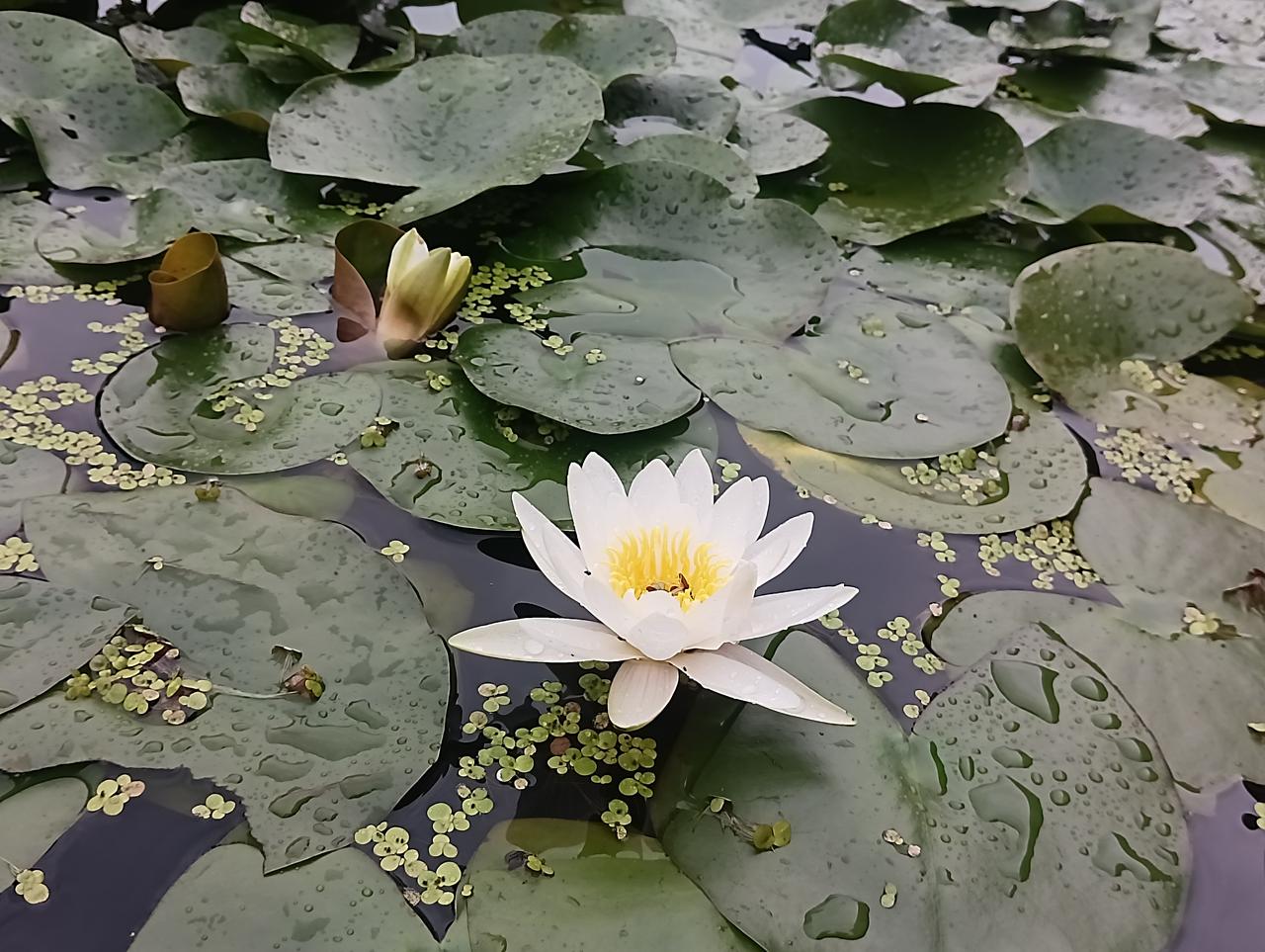 退休金这玩意儿，才是真·硬气！
 
跟你们说句心里话！退休金哪儿是每月到账的那点