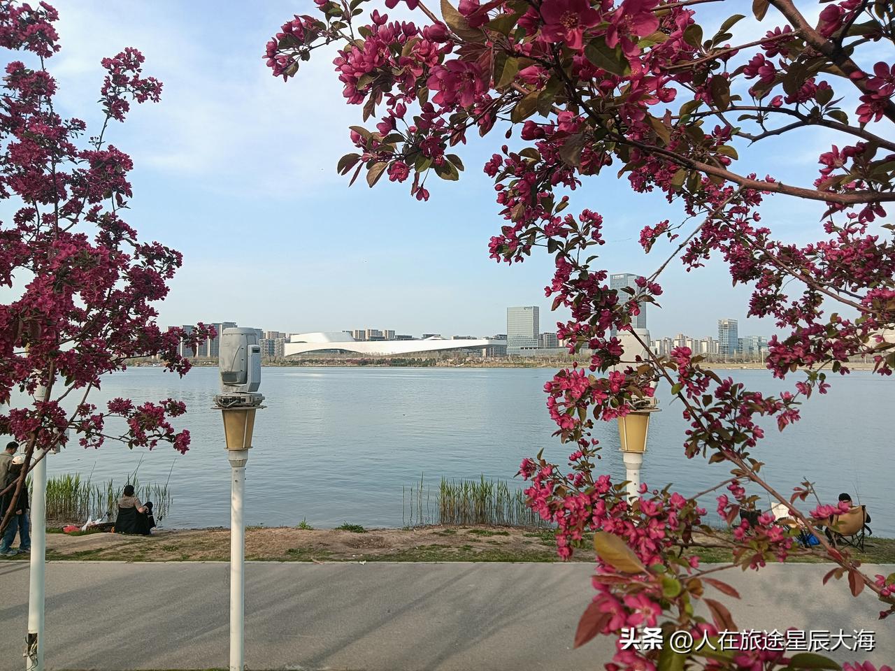 看完书翻阅了各种期刊杂志，下午6点我从长安书院出来在灞河边小坐。广场下面的水岸边