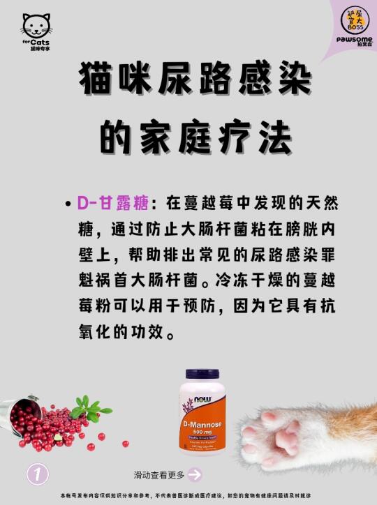 猫咪尿路感染的家庭疗法