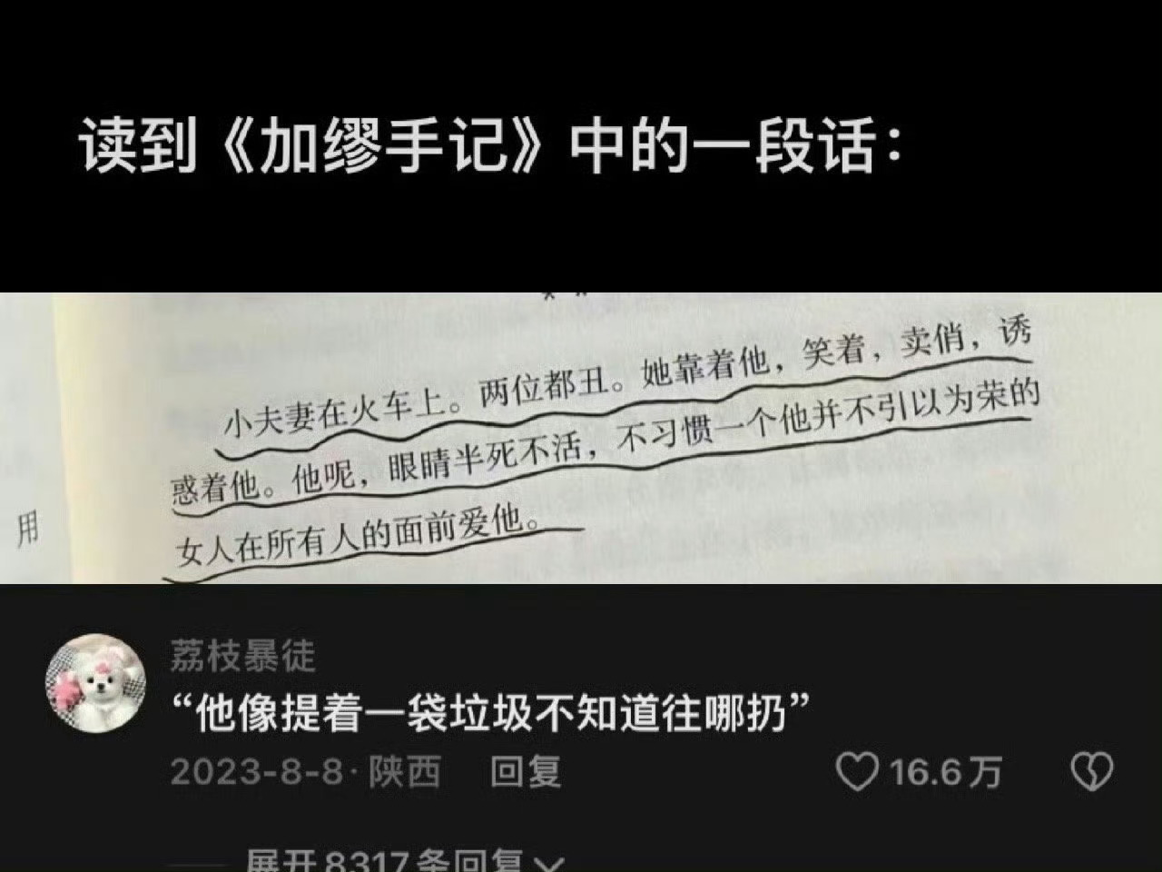 文字的力量  第一次感受到文字的力量：“他丑陋而又轻蔑地将她的爱意踩在脚下” 