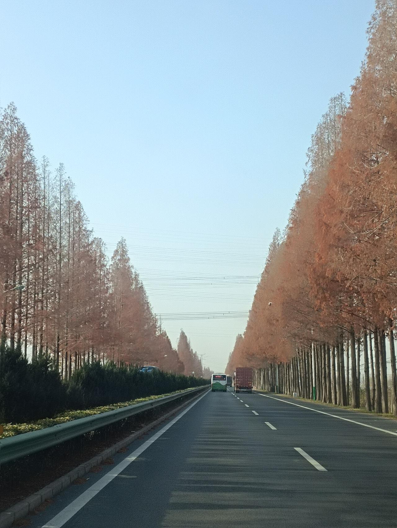 上联：夏雨荷花艳，下联才子请冬雪梅花香！友友们，这个对联对的可还可整啊？