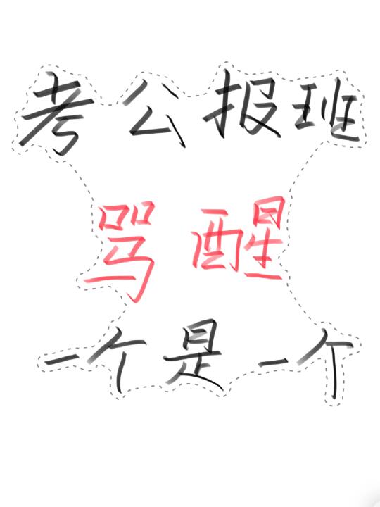考公报班，骂醒一个是一个❗️