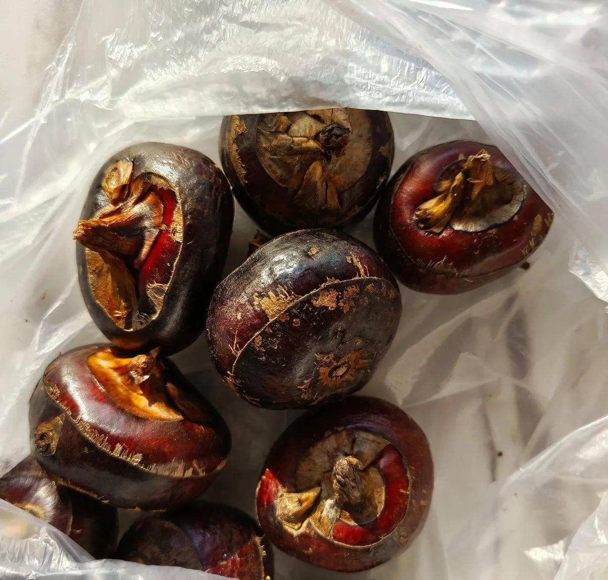 他们说这个东西吃了好，昨天我看到了就买了一些回来，准备削皮吃的时候，妈妈告诉我说