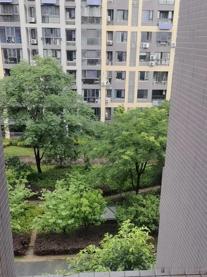 固执的老头子。

武汉今天在下大雨。中午要去幼儿园接孩子，还要拿孩子的被子褥子回